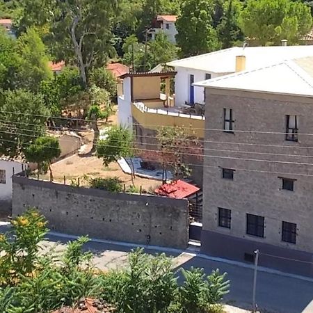 Villa The Old Olive Mill House Aegae Esterno foto