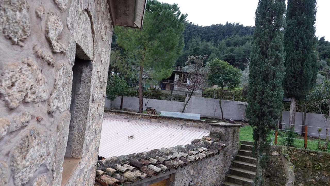 Villa The Old Olive Mill House Aegae Esterno foto