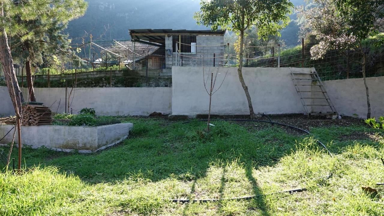 Villa The Old Olive Mill House Aegae Esterno foto