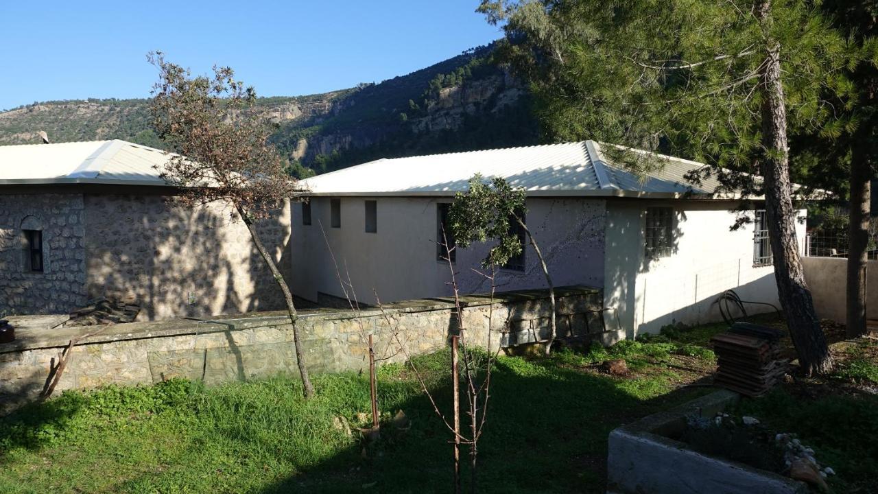 Villa The Old Olive Mill House Aegae Esterno foto