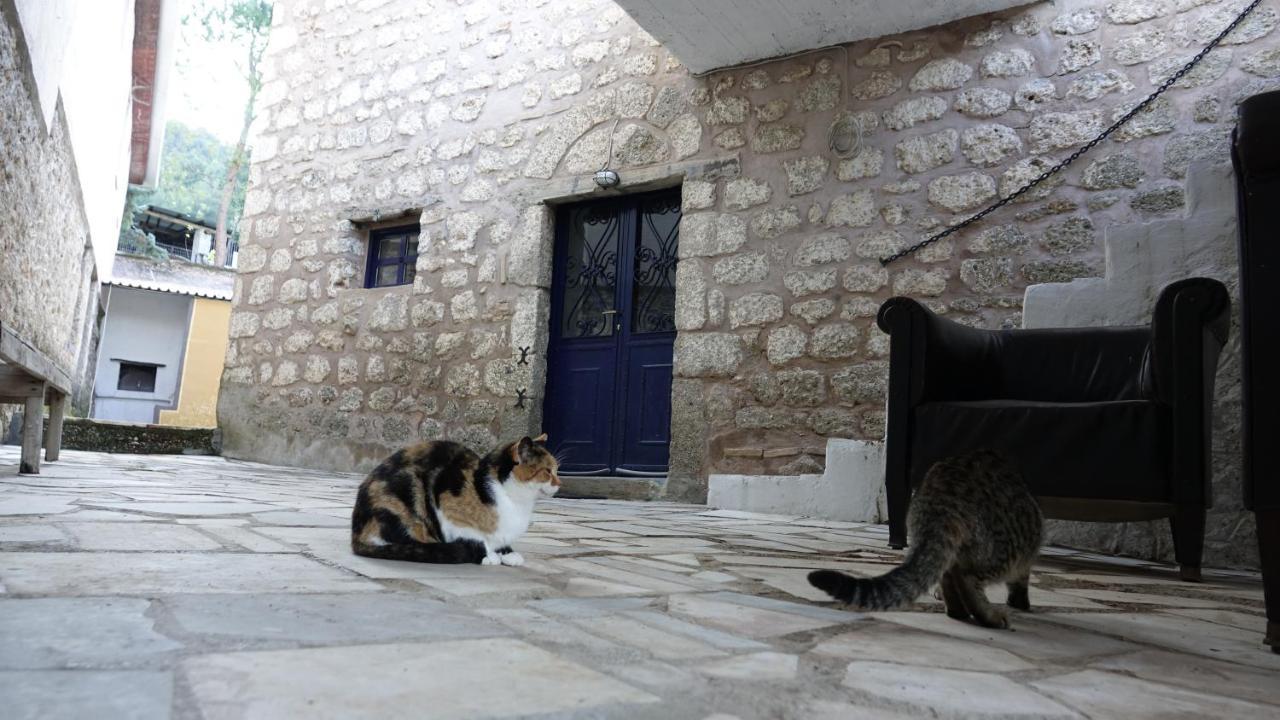 Villa The Old Olive Mill House Aegae Esterno foto